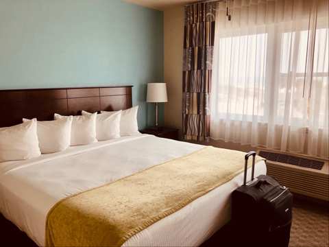 Palm Pavilion Inn — photo 2