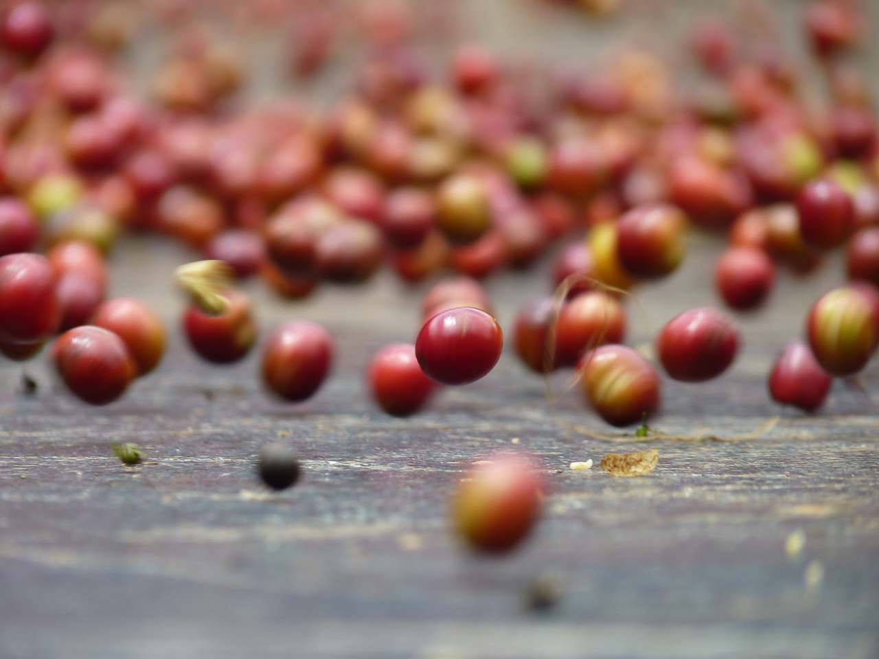 Wonderstate Coffee - Offices & Roastery — photo 1