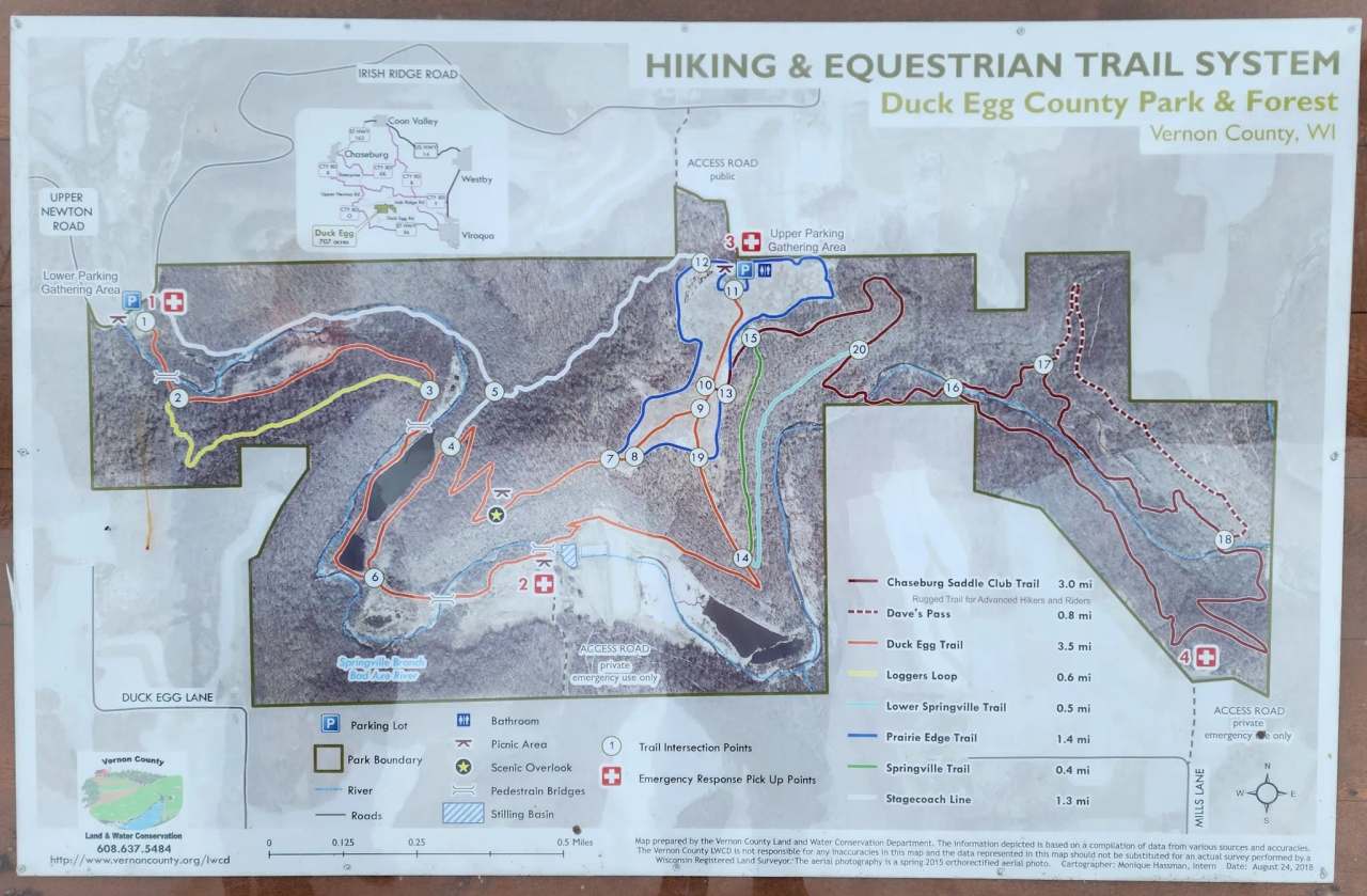 Duck Egg County Forest — photo 2