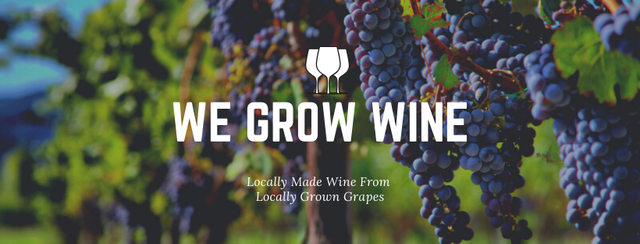 Spirits of Norway Vineyard