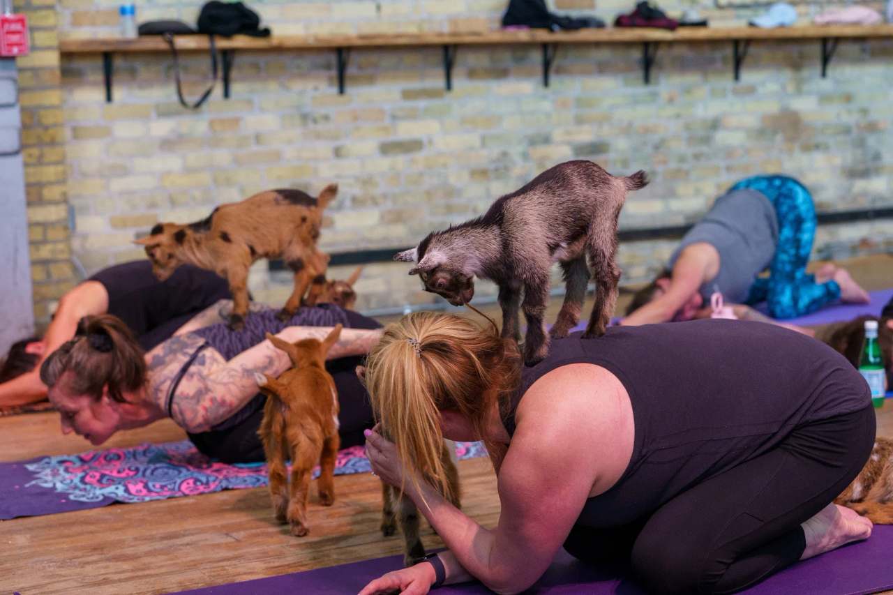 MKE Yoga Social — photo 2