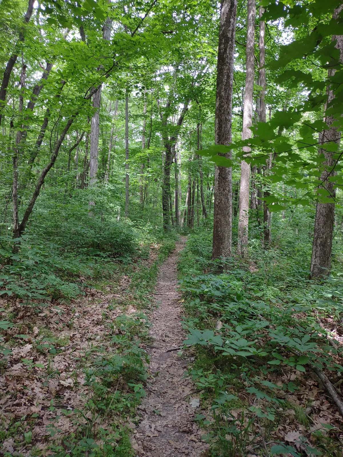 Greenbush Recreation Area — photo 1