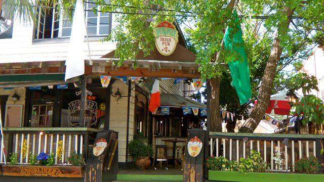 The Dubliner Irish Pub — photo 1