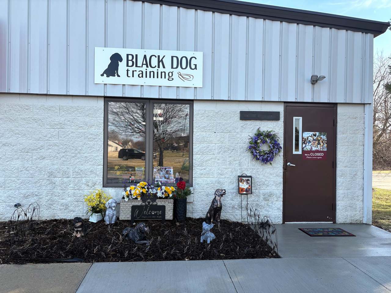 Black Dog Training LLC — photo 1