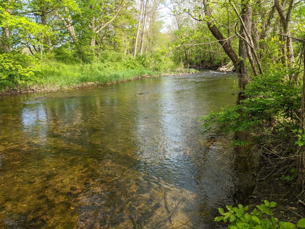 Three Rivers Field — photo 1
