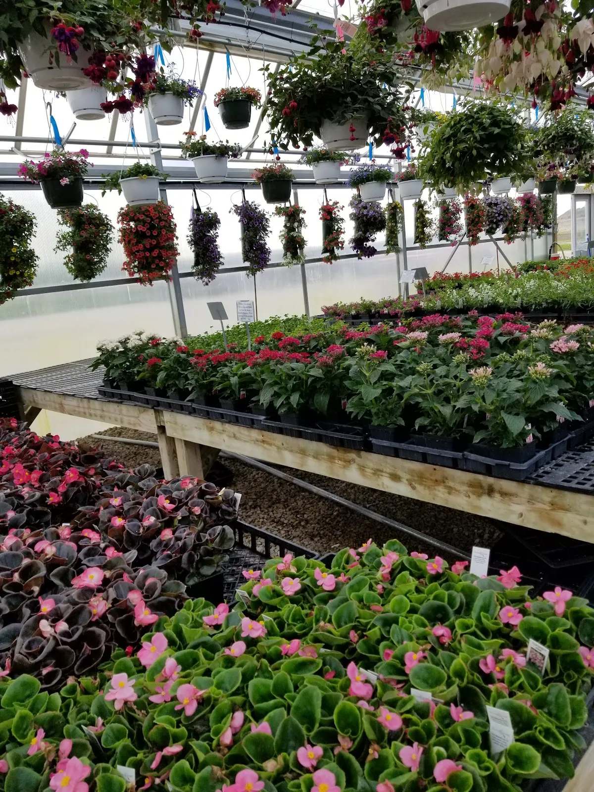 Hoekstra's Market & Greenhouse, LLC — photo 2