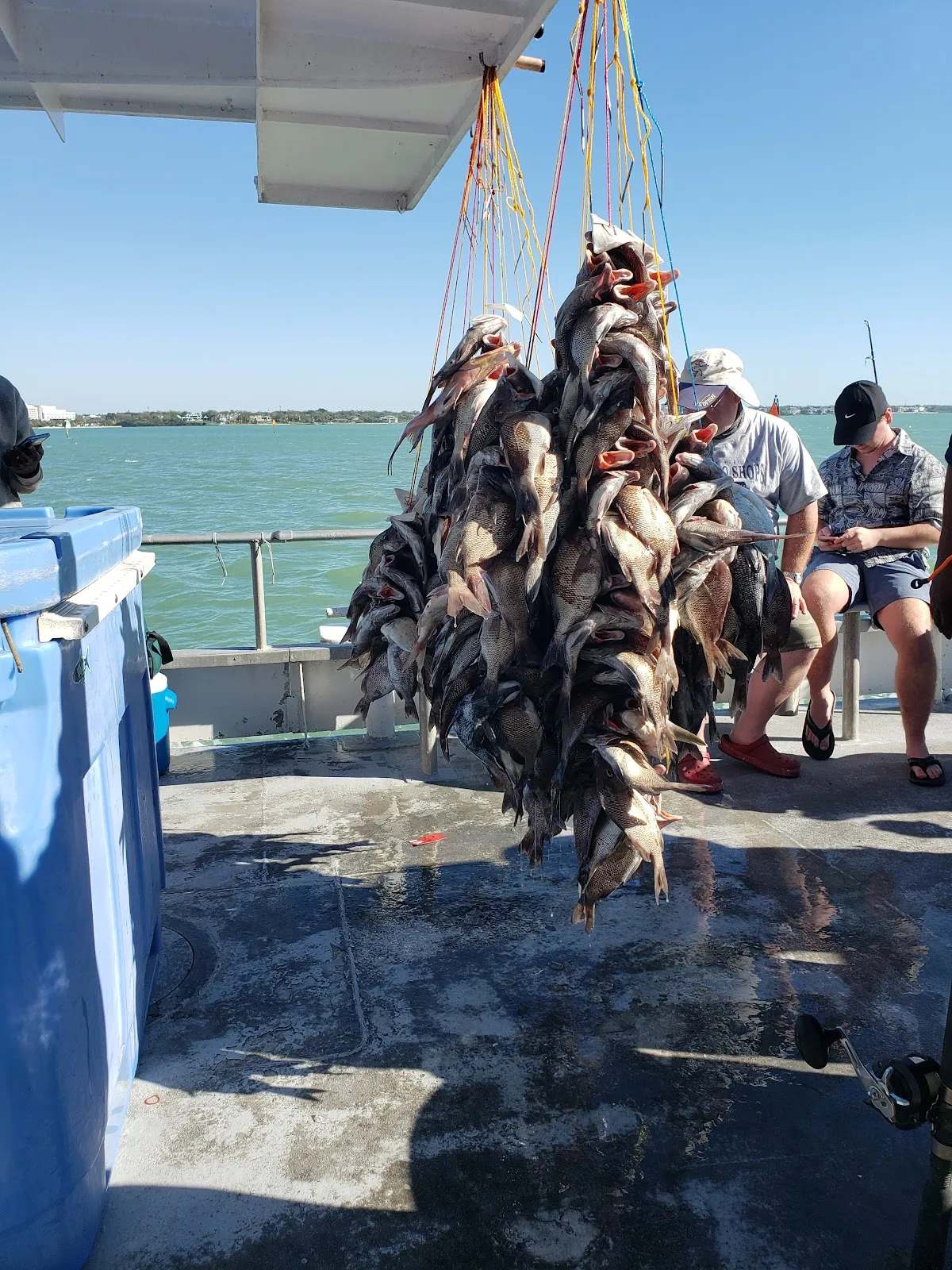 Queen Fleet Deep Sea Fishing — photo 1