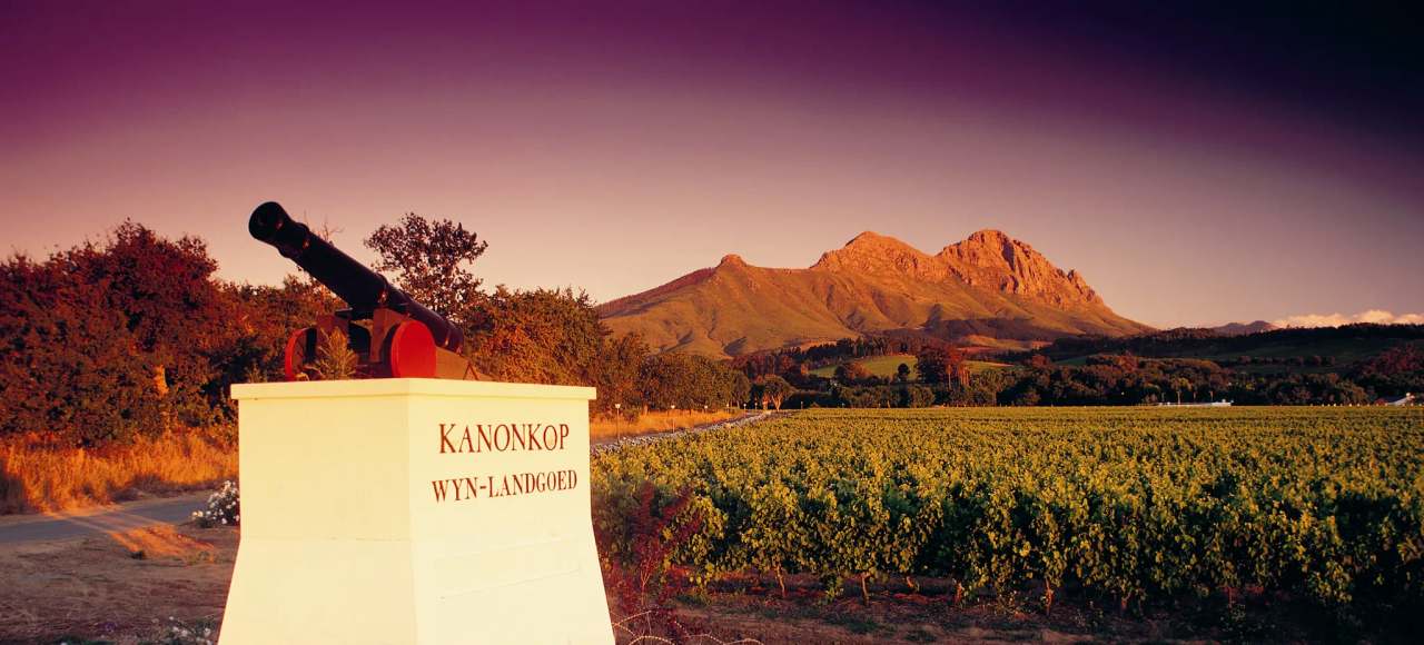 Kanonkop Wine Estate — photo 1