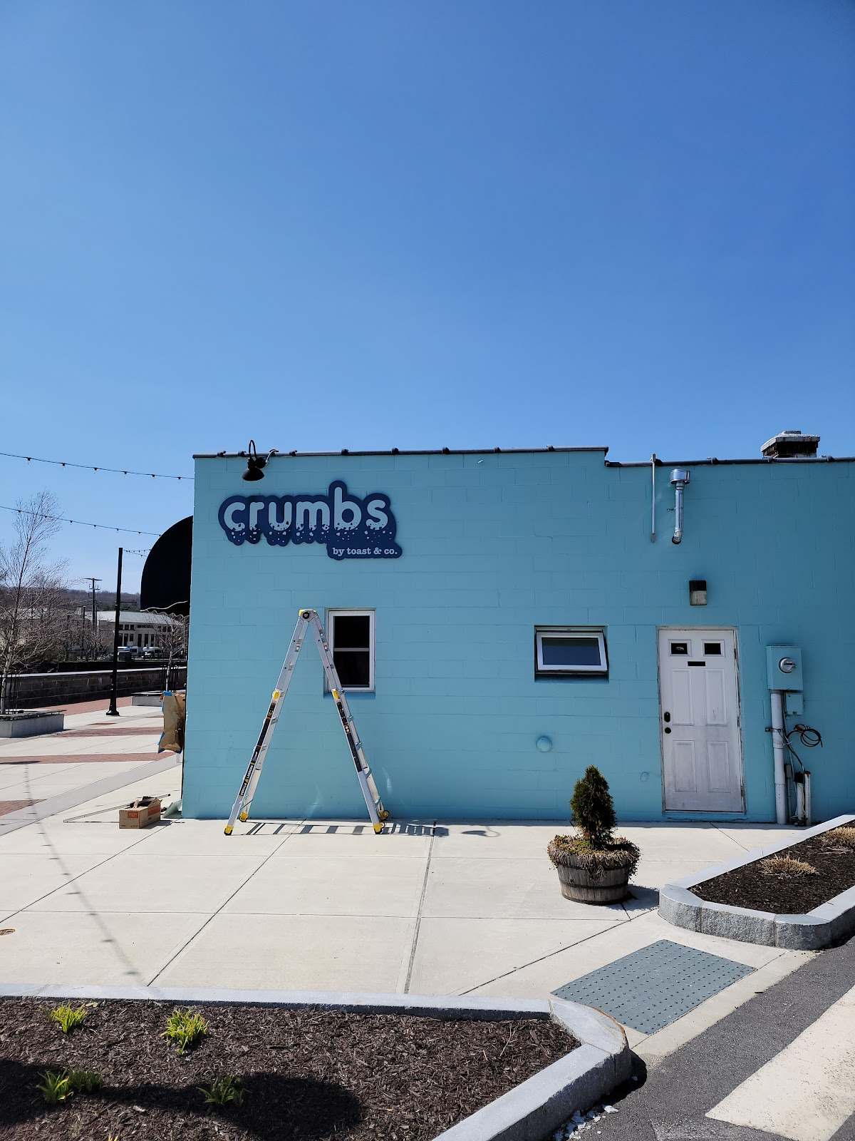 Crumbs by Toast and Co — photo 1