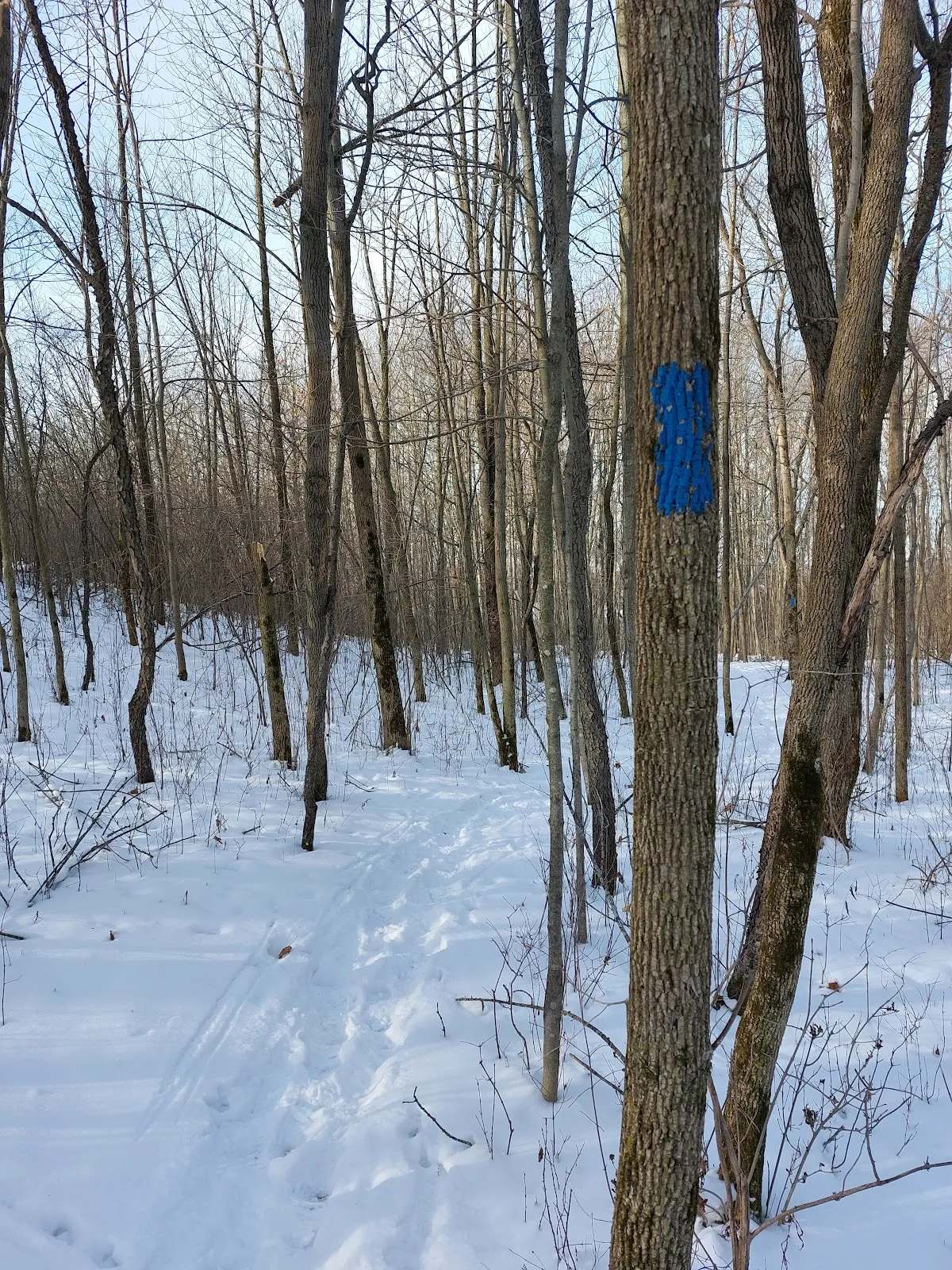 Ice Age Trail Kewaskum Parking Area — photo 7