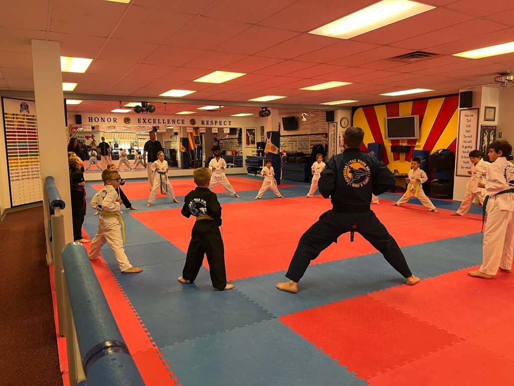 White/High White Belt Forms
