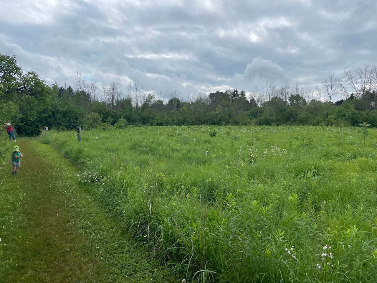 Grasslyn Nature Preserve — photo 1