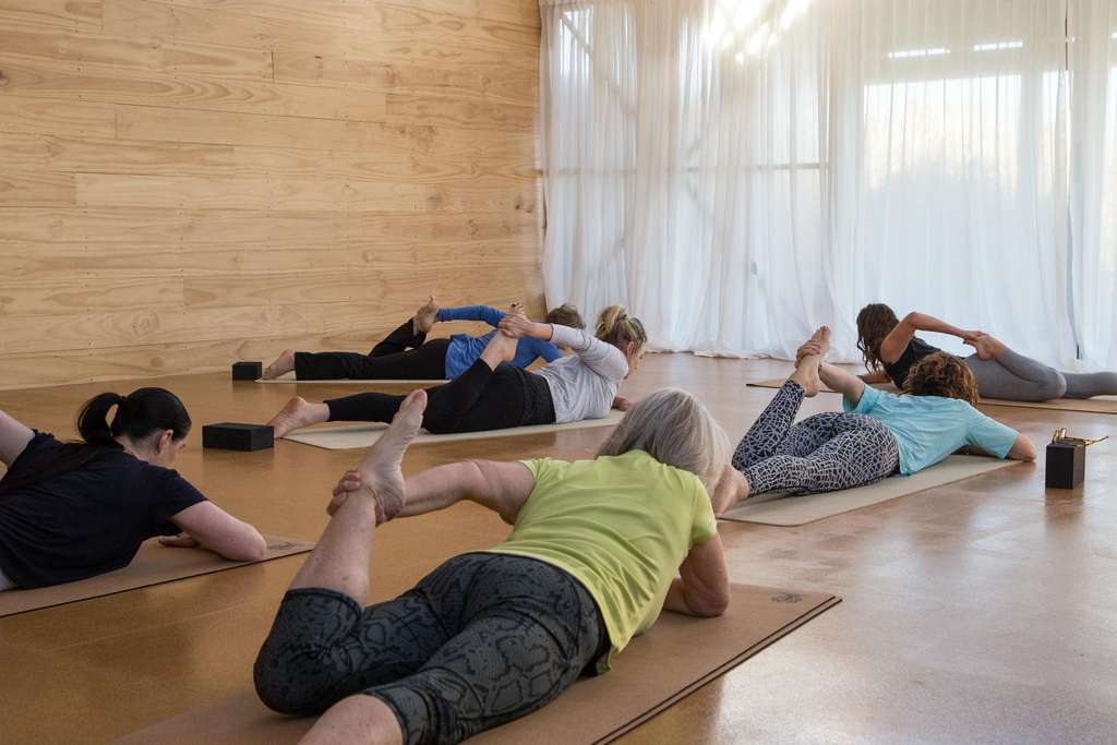 Sports & Wellness