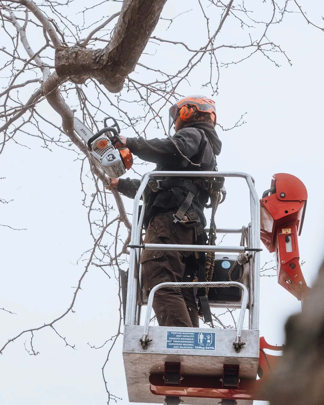 Parm's Tree Service — photo 1