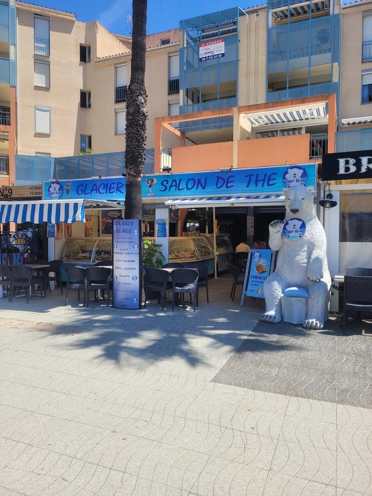 Teddy glace — photo 1