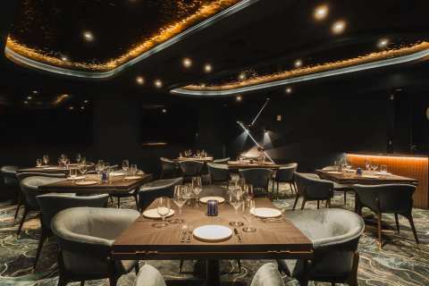 The Sapphire Tampa — photo 3