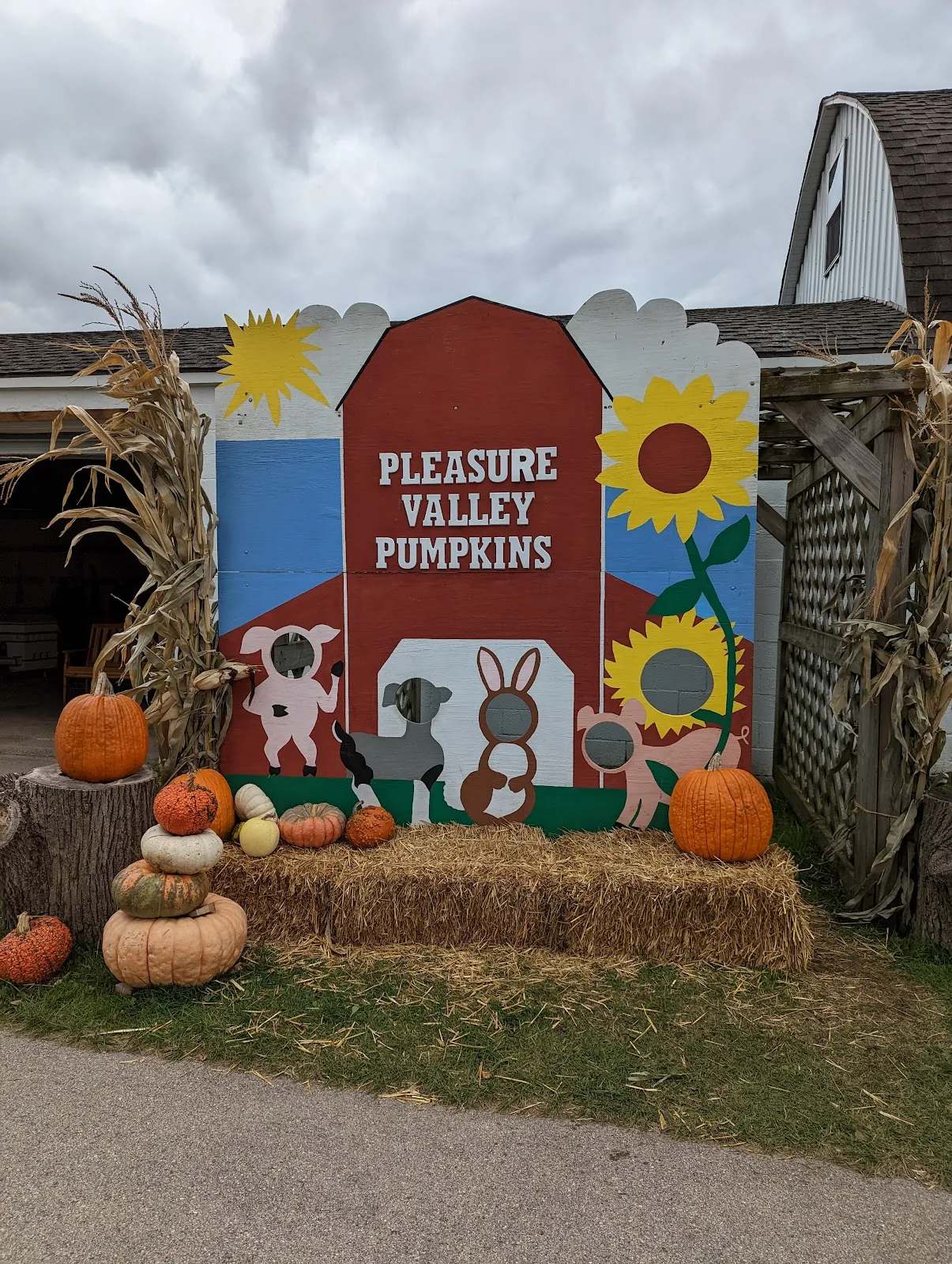 Pleasure Valley Pumpkins — photo 1