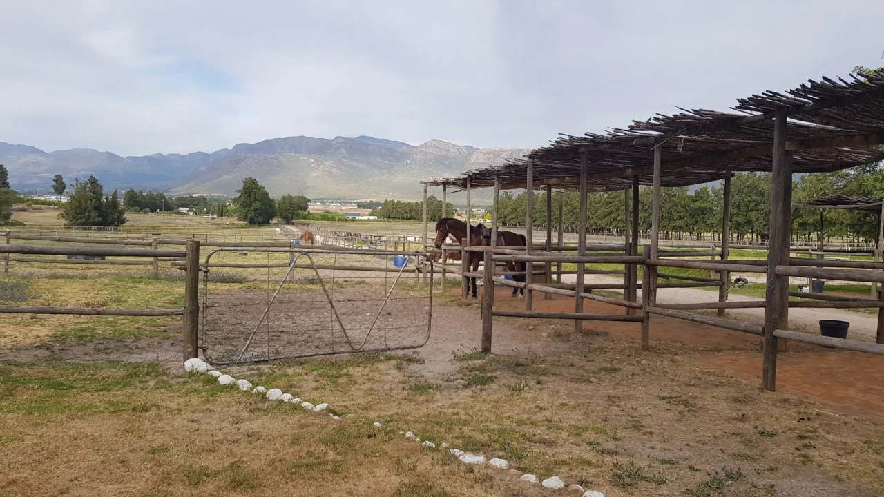 Cape Winelands Riding — photo 5