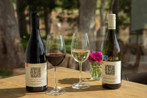 Elgin Vintners Wines & 4-Star Country Guest House — photo 2