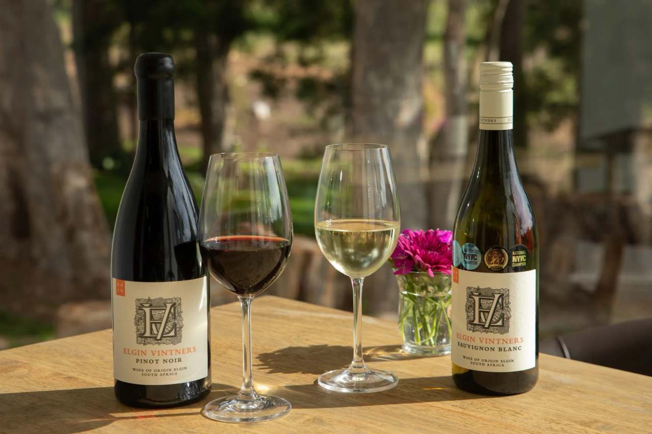 Elgin Vintners Wines & 4-Star Country Guest House — photo 2