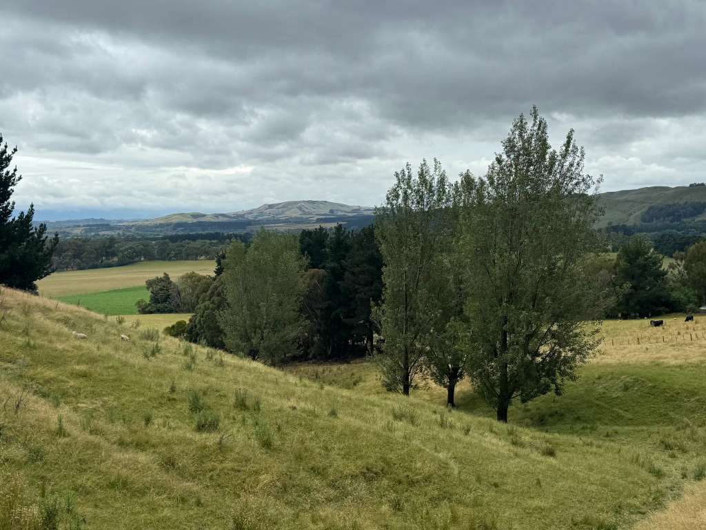 Rapaki Hillside Walk (Start)