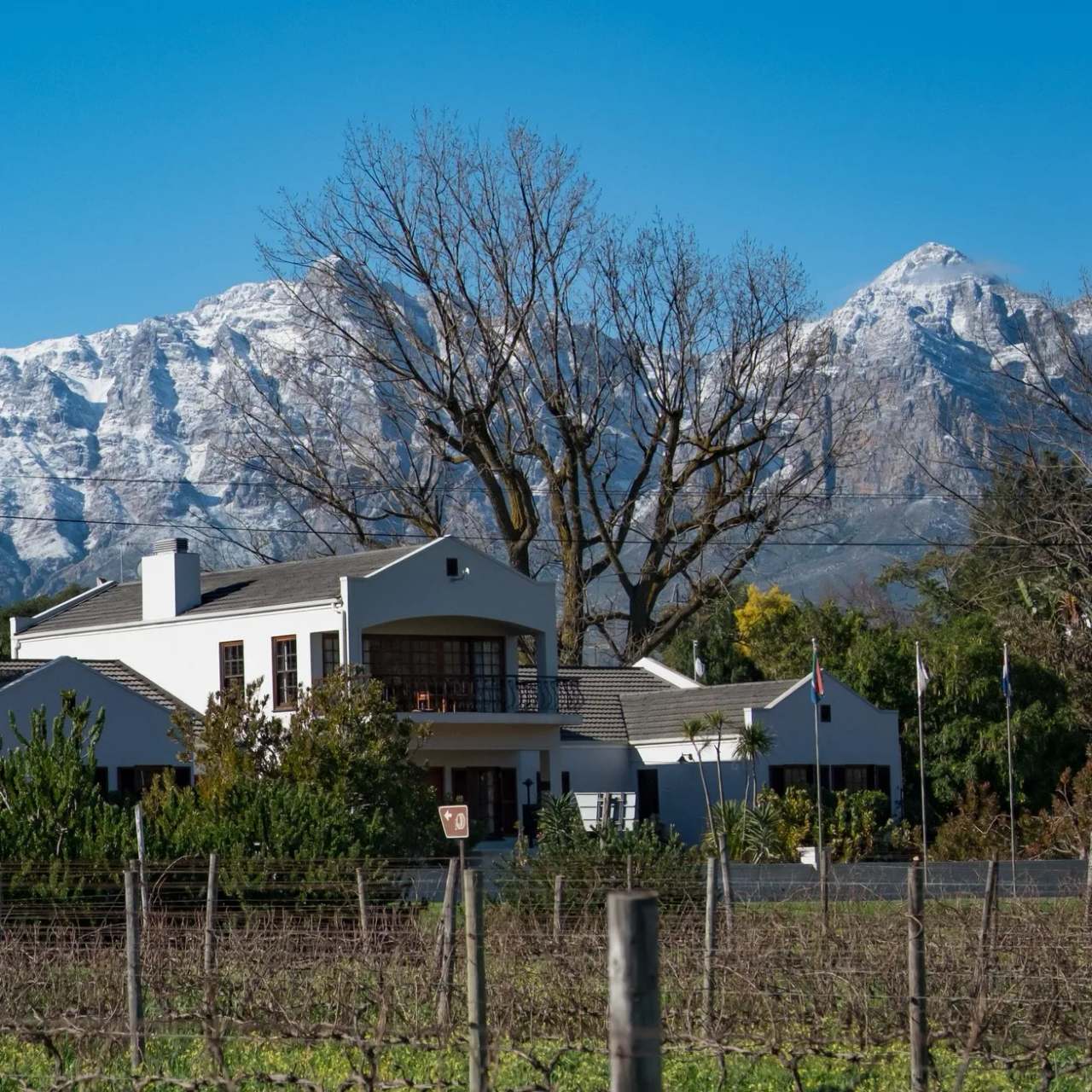 Bergsig Wine Estate — photo 2