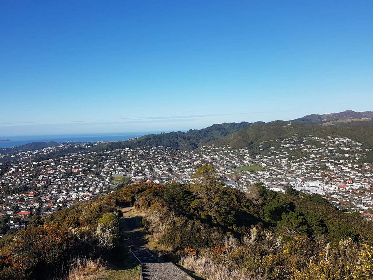 Johnson Hill Scenic Reserve — photo 3