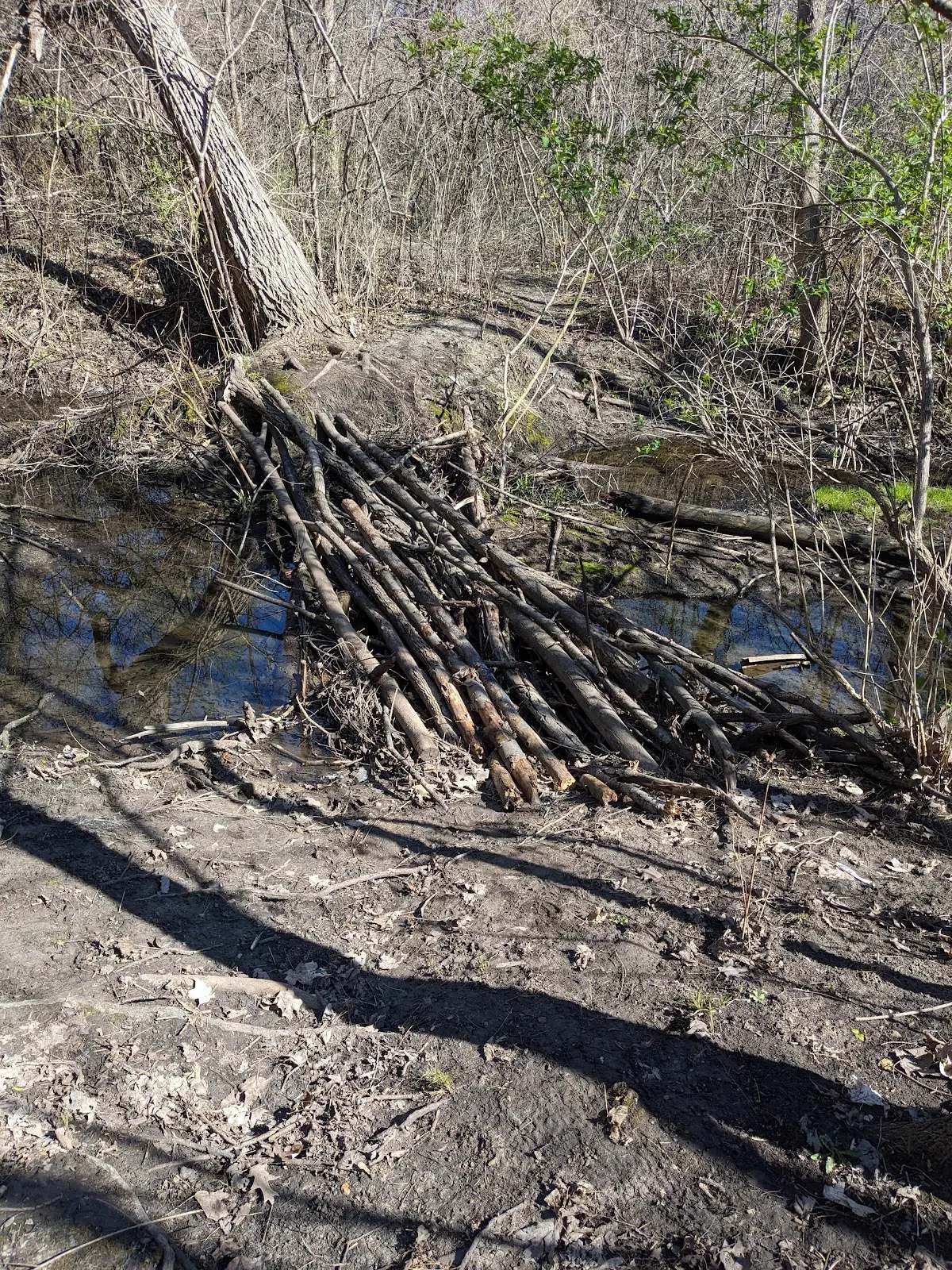 Grootemaat Nature Preserve — photo 3