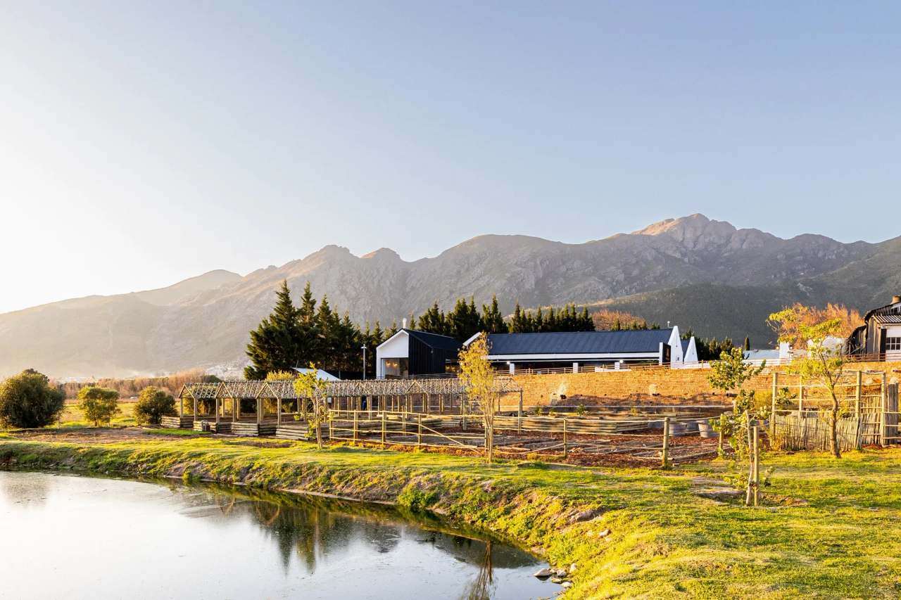 Backsberg Family Wines — photo 1
