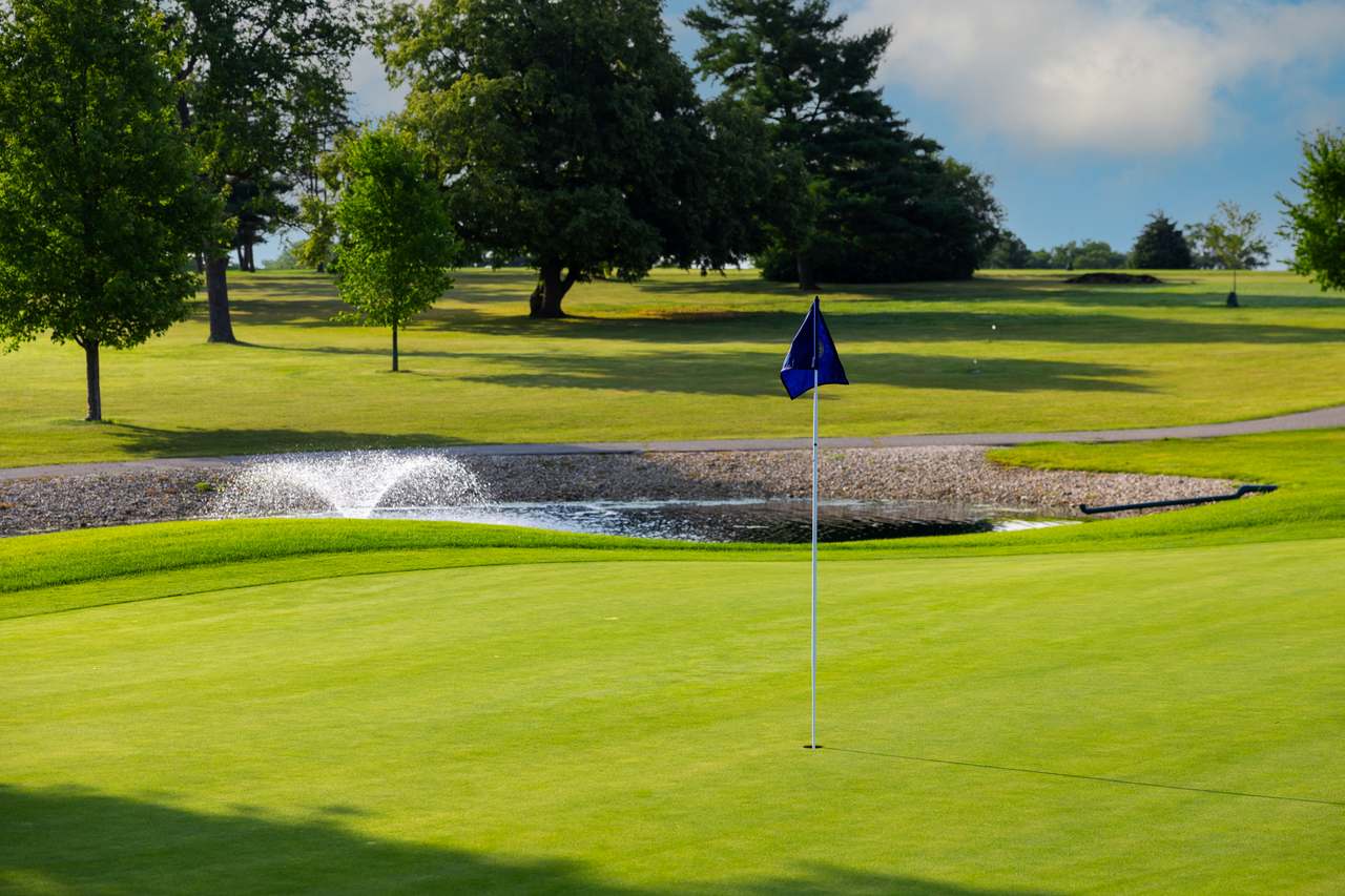 Majestic Oaks Golf Course at Lake Lawn Resort — photo 1