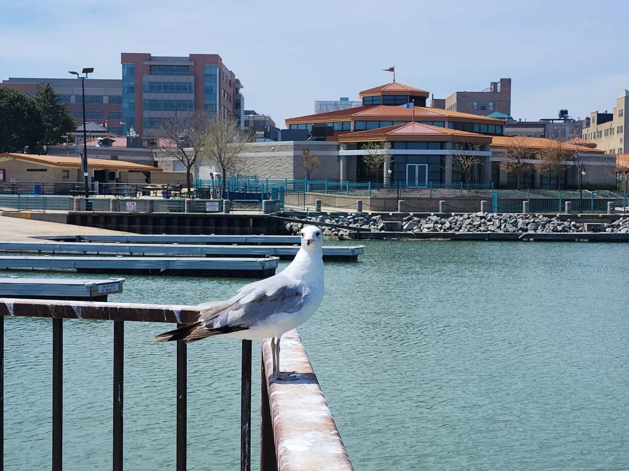 Festival Park, Racine Civic Center — photo 1