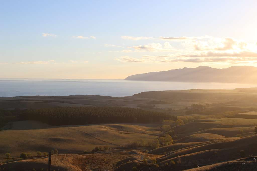 Palliser Ridge – Sustainable Wool Farm & Luxury Throws | South Wairarapa