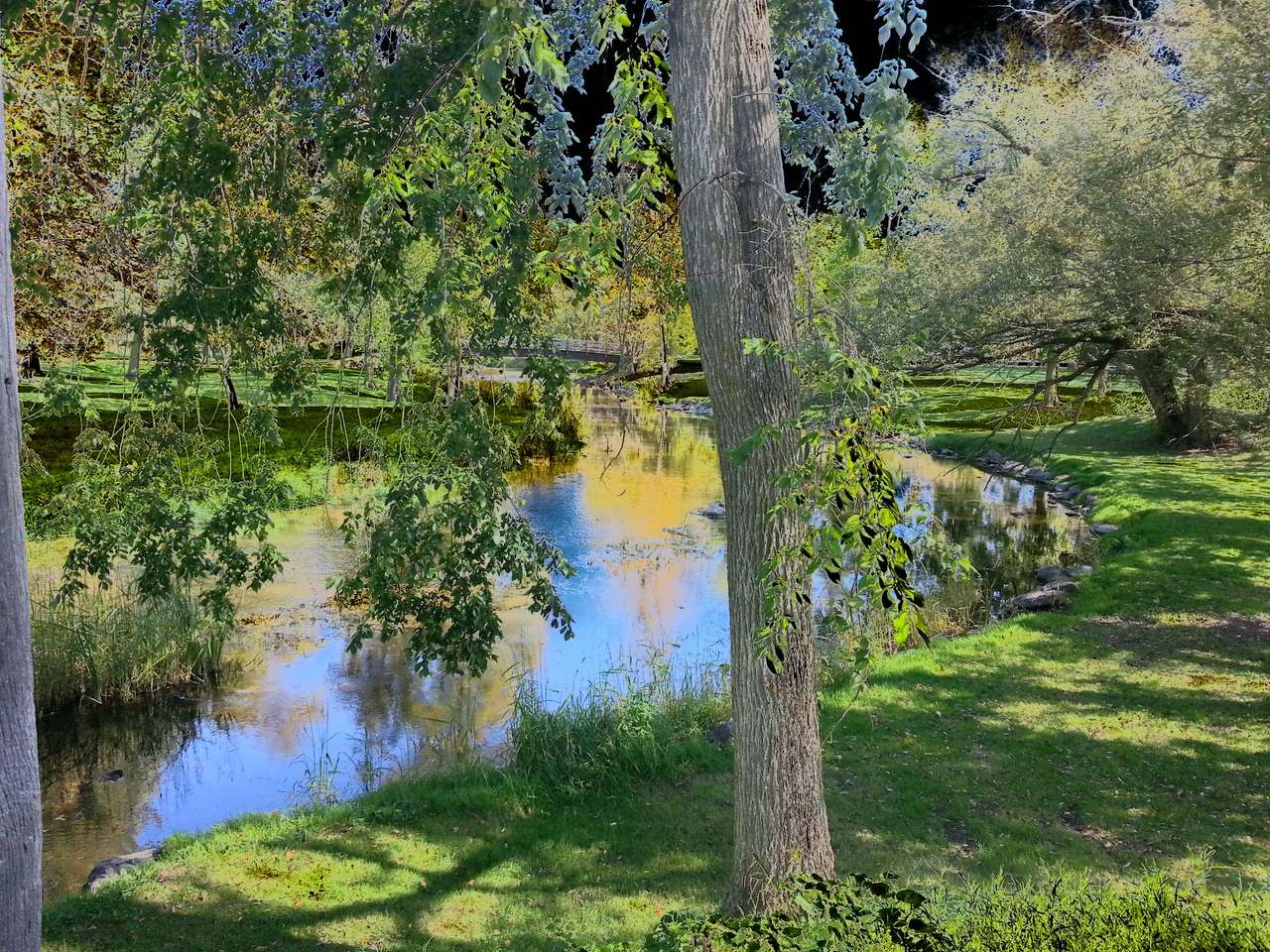 Boy Scout Park — photo 8