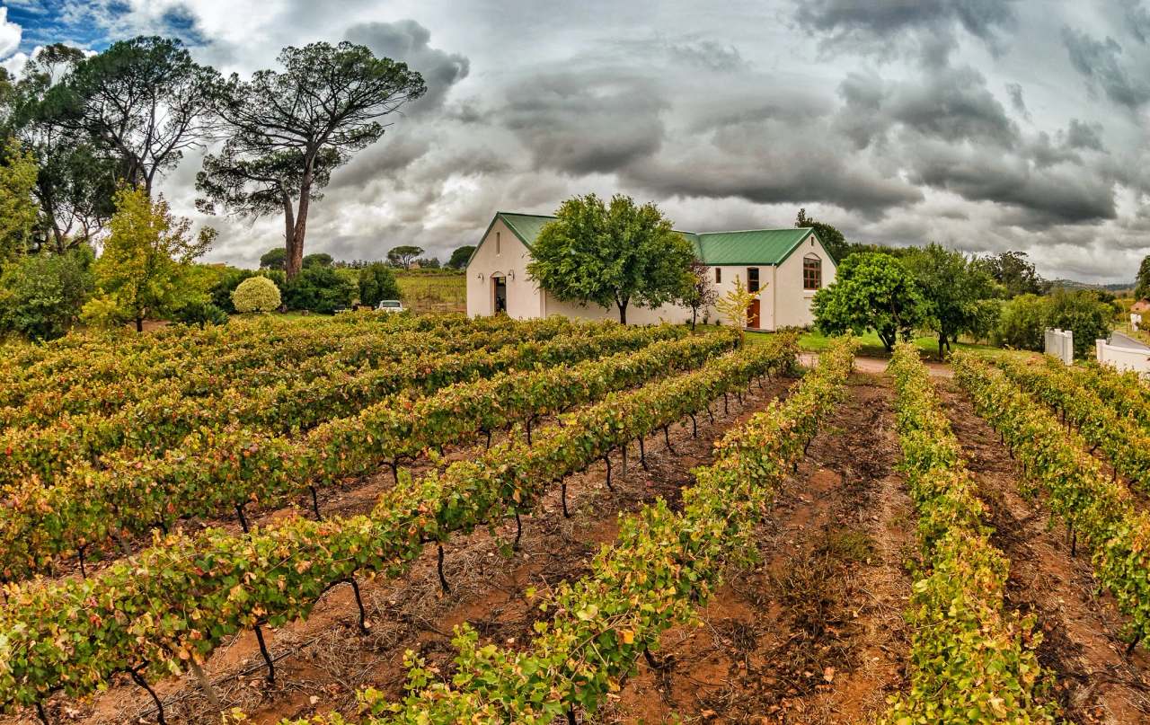Le Riche Wines — photo 1