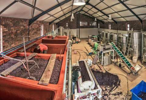 Le Riche Wines — photo 3
