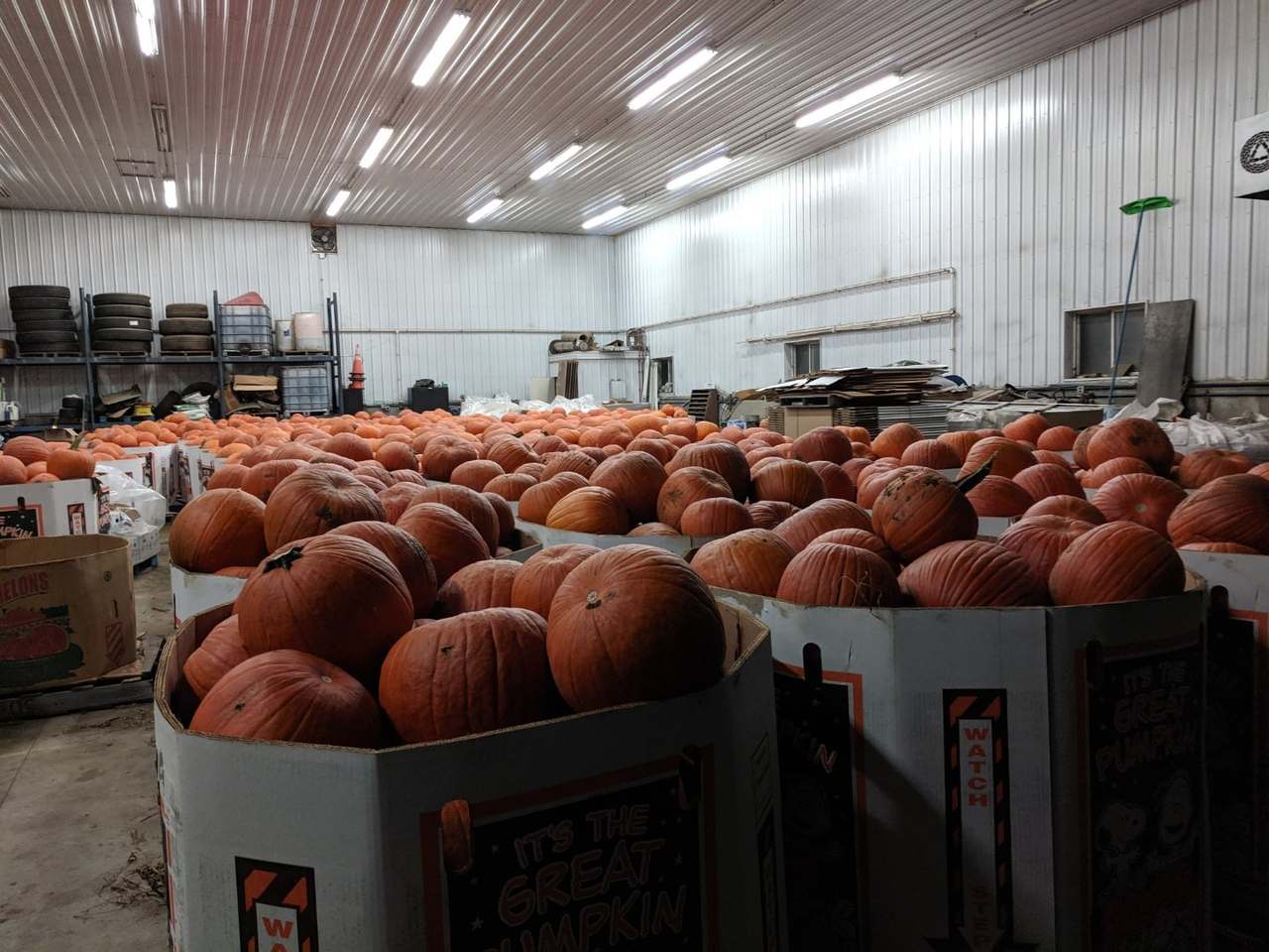 Logue Farms, Inc. — photo 2