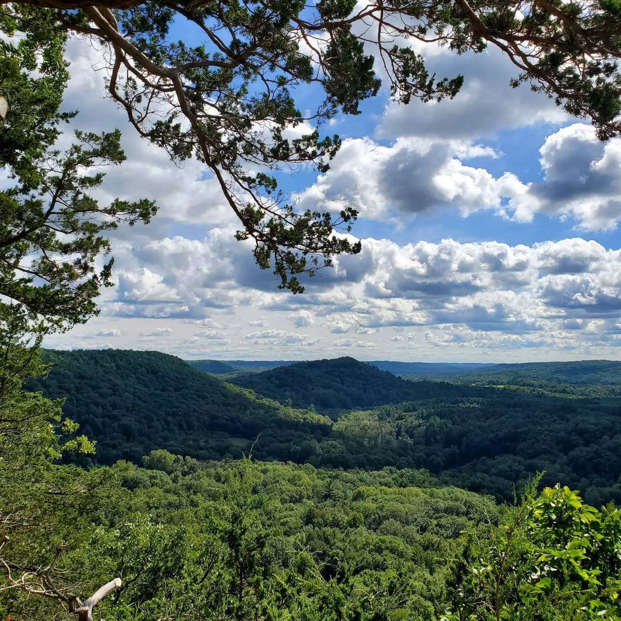 Wildcat Mountain State Park — photo 1