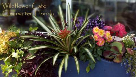 Wildflower Cafe — photo 3