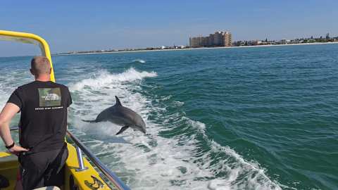 Sea Screamer of Clearwater — photo 2
