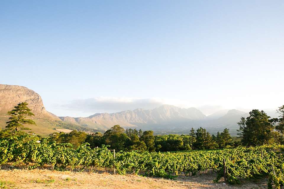 Dieu Donné Vineyards Cellar & Tasting Room