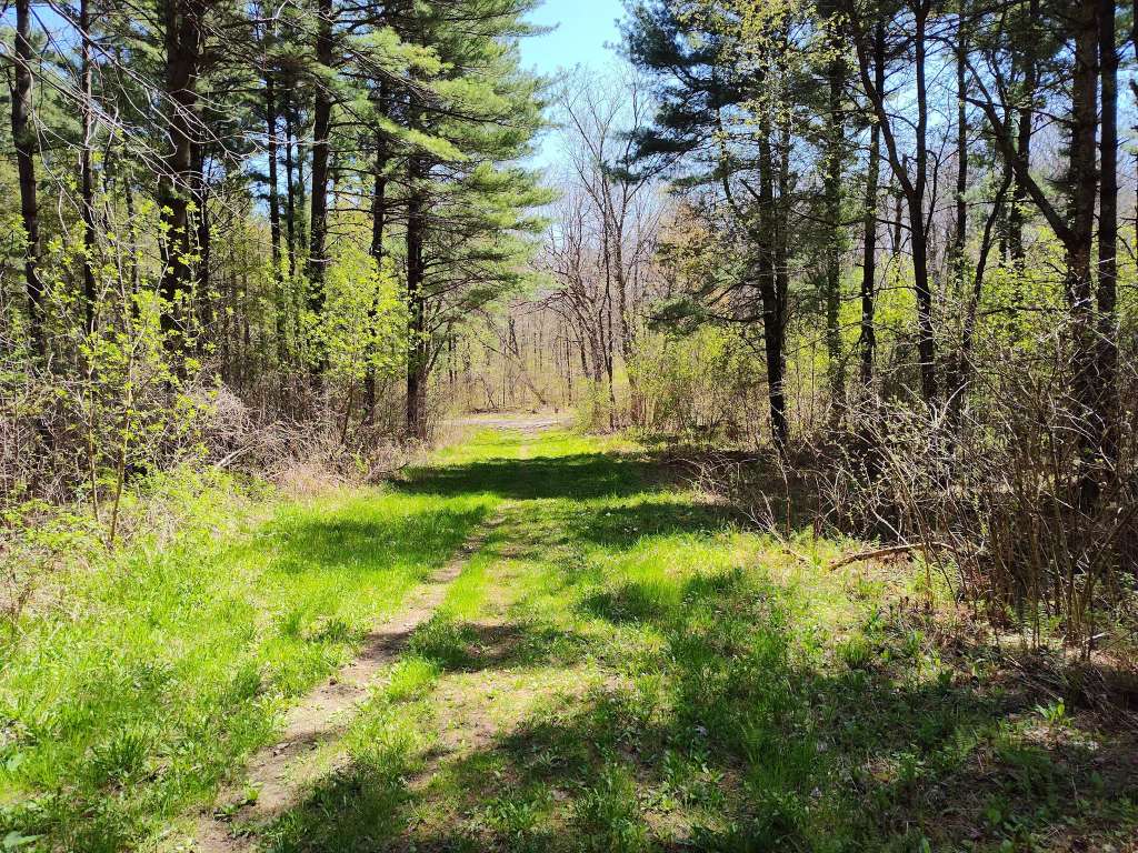 Ice Age Trail Greenbush Trailhead