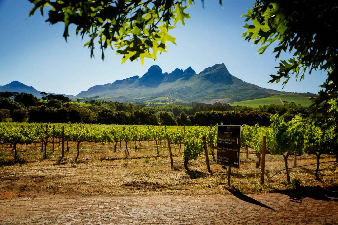 Ken Forrester Wines — photo 2