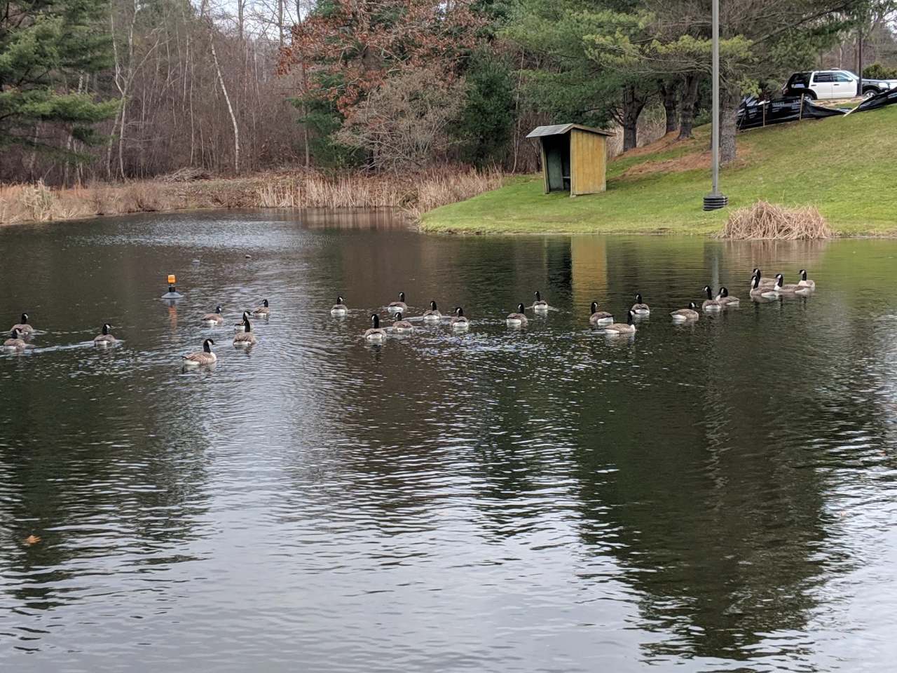 Meadowview Park — photo 3