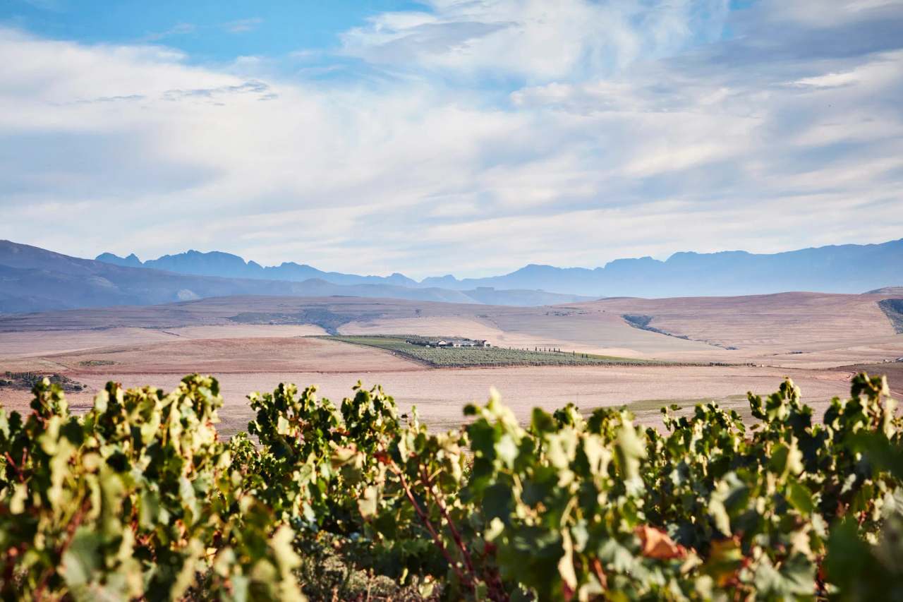 Gabrielskloof Wine Estate — photo 1