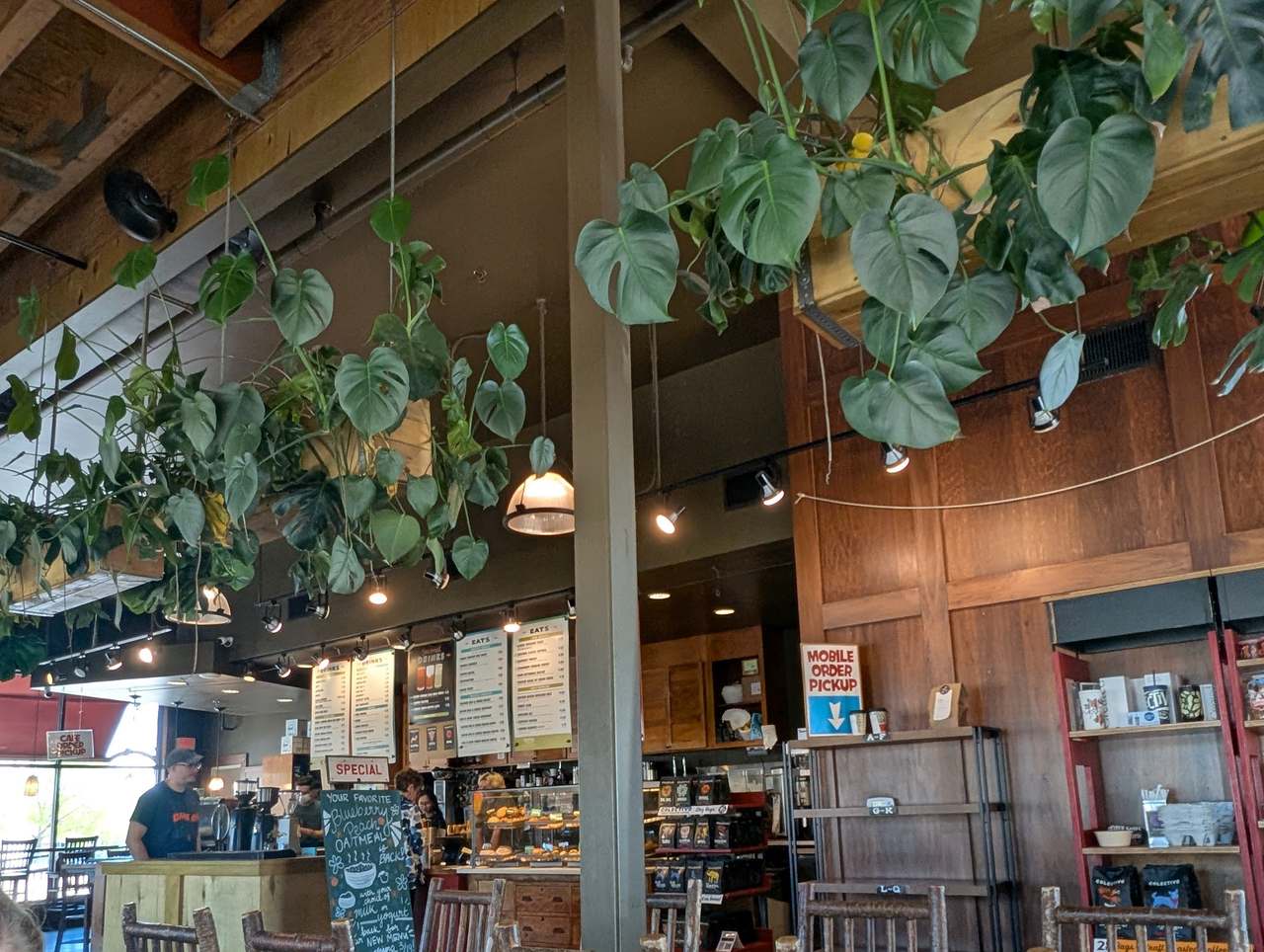Colectivo Coffee Grafton — photo 3
