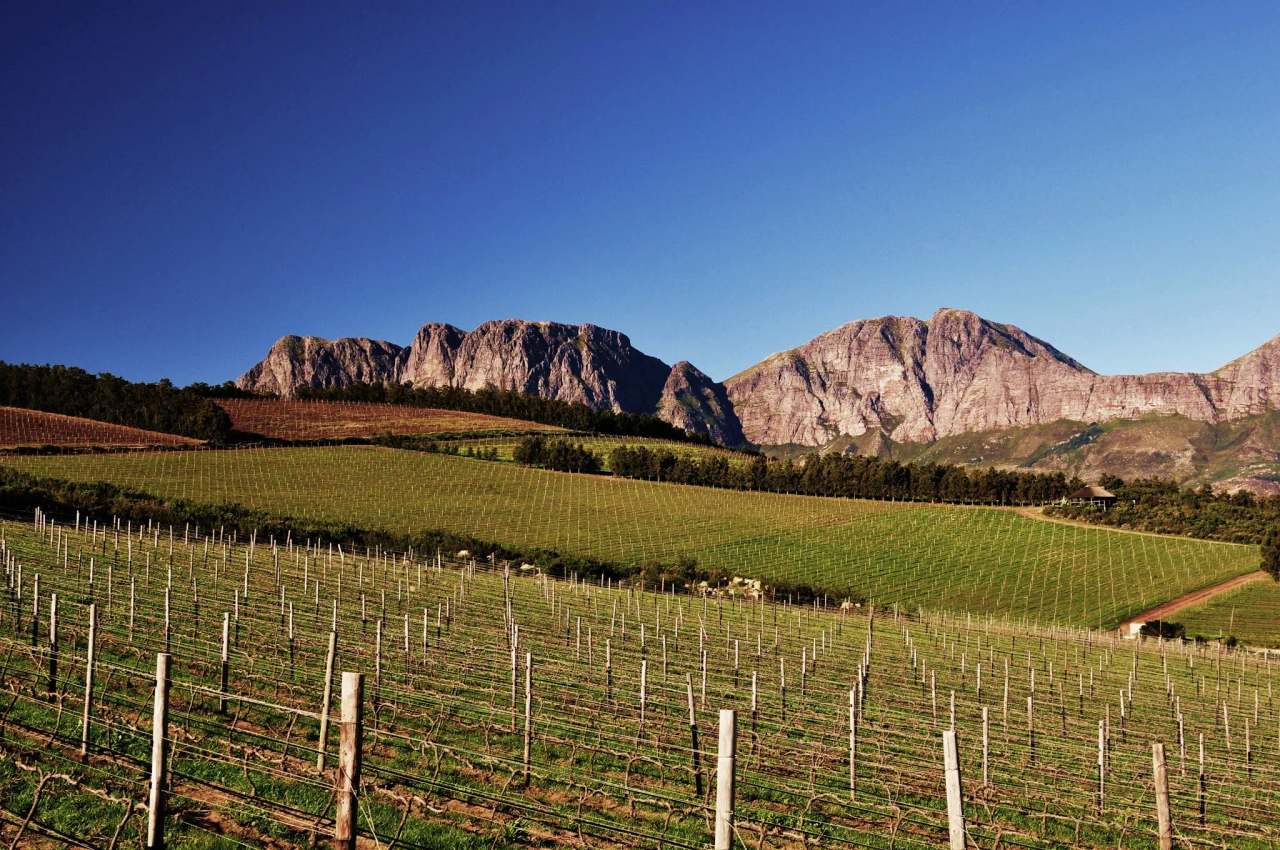 Waterkloof Wine Estate — photo 5