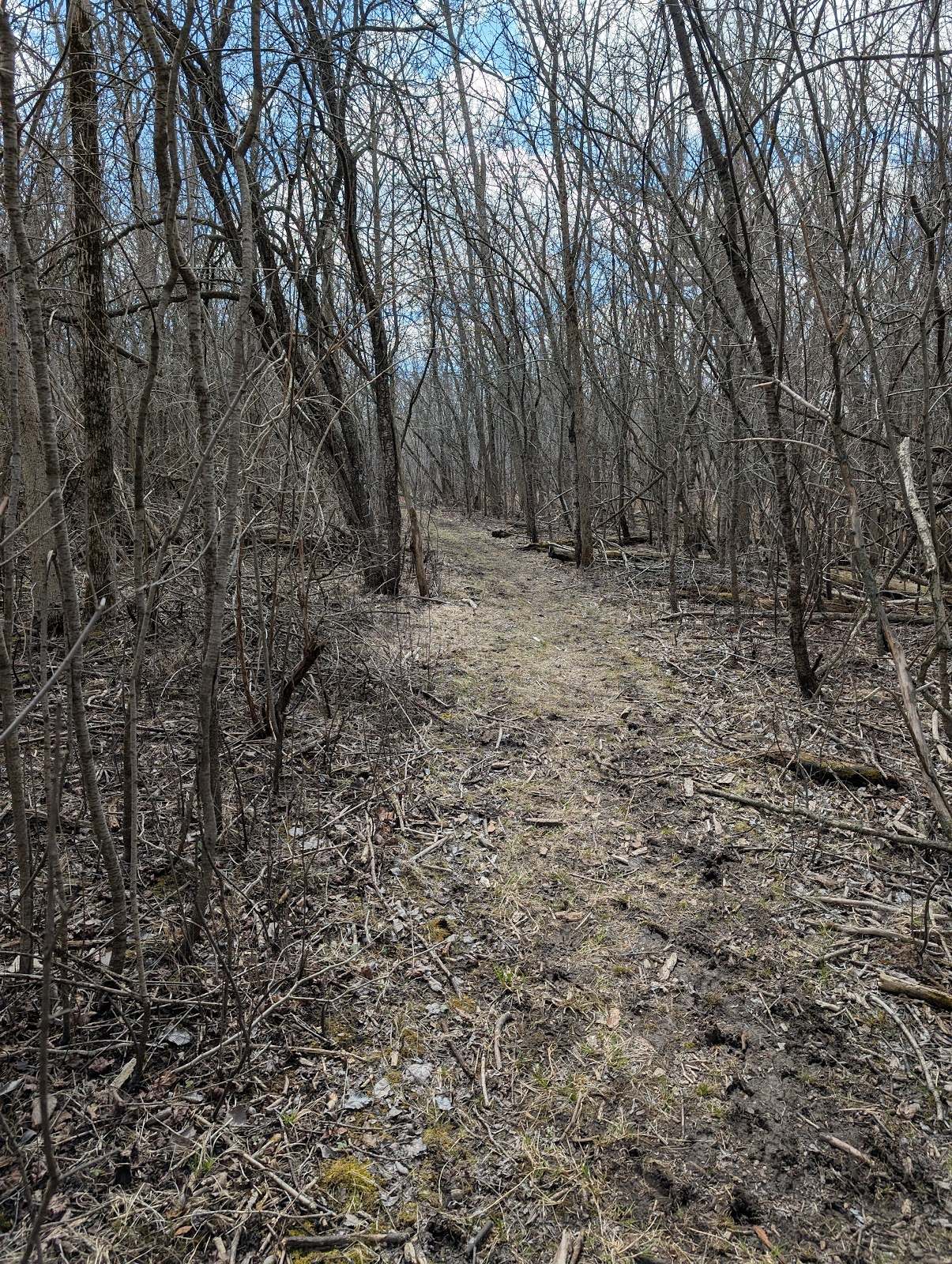 River Forest Nature Preserve — photo 1