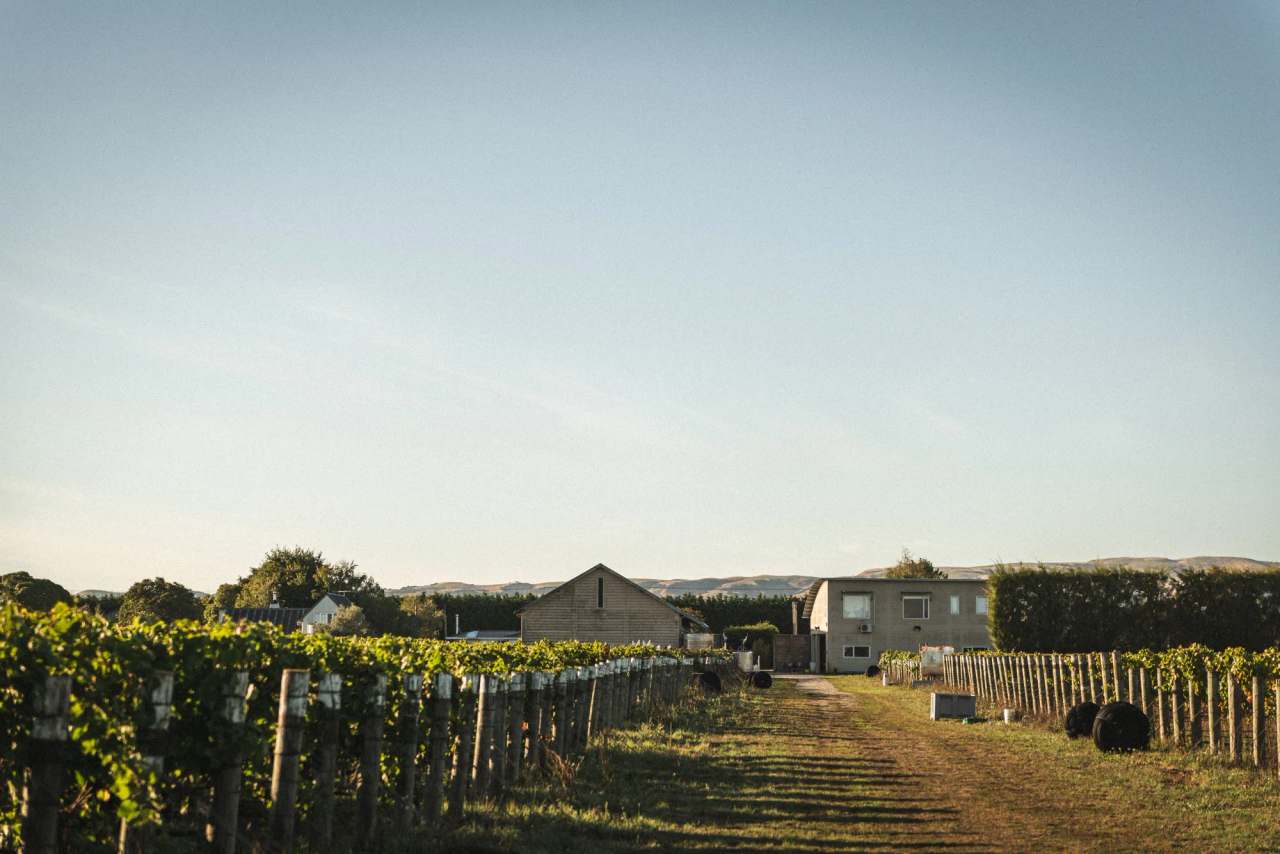Martinborough Vineyard — photo 2