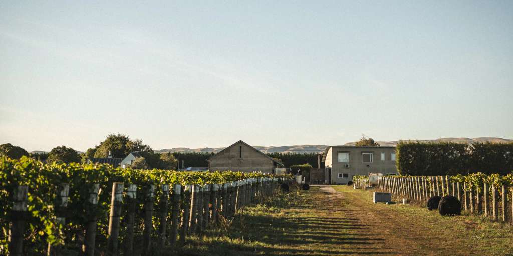 Martinborough Vineyard