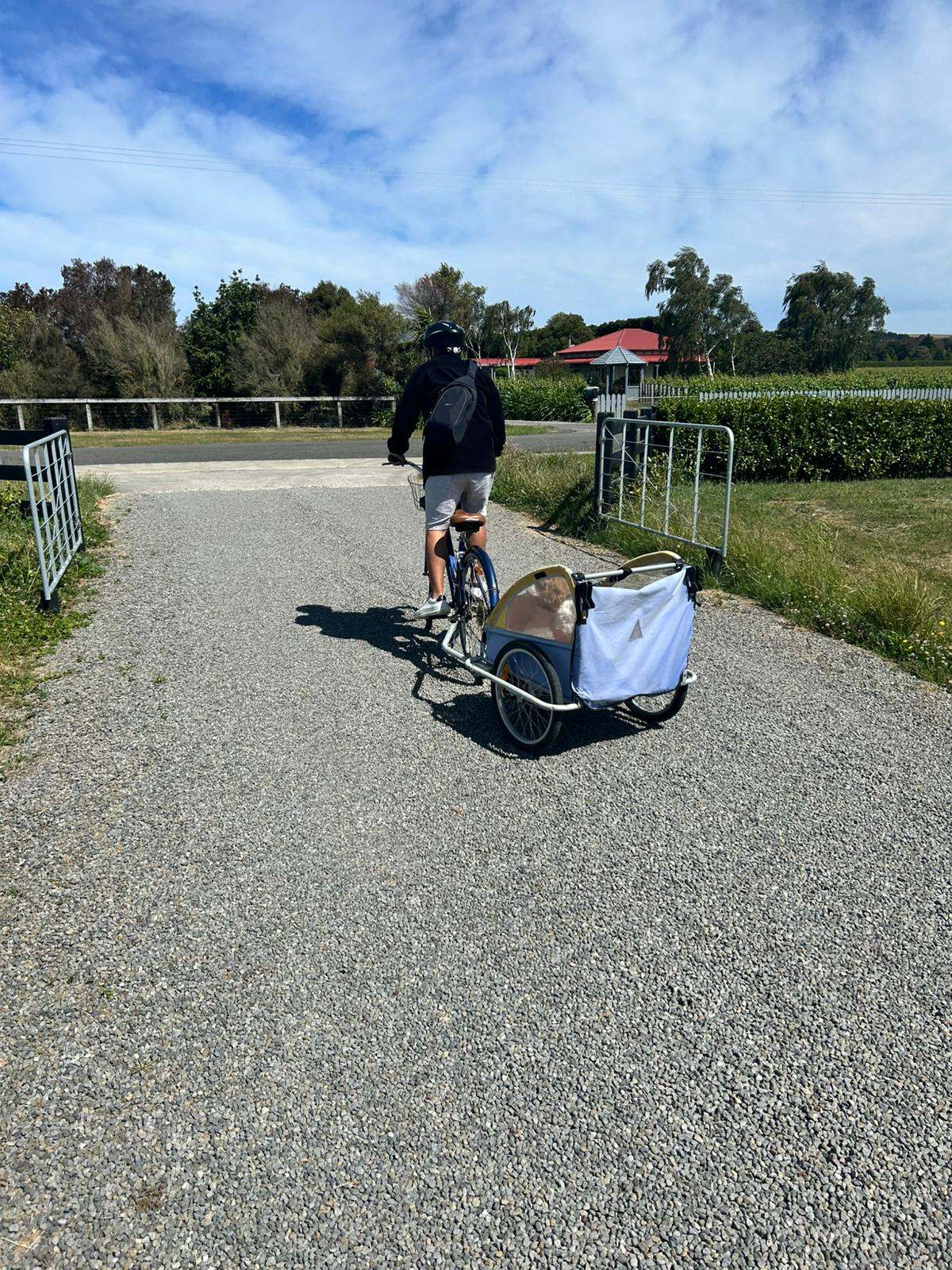 Indi Bikes Martinborough — photo 1